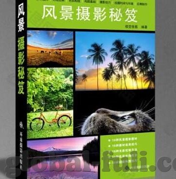 人妻a系列视频免费-探索家庭温馨的另一面，人妻A系列视频的私密视角